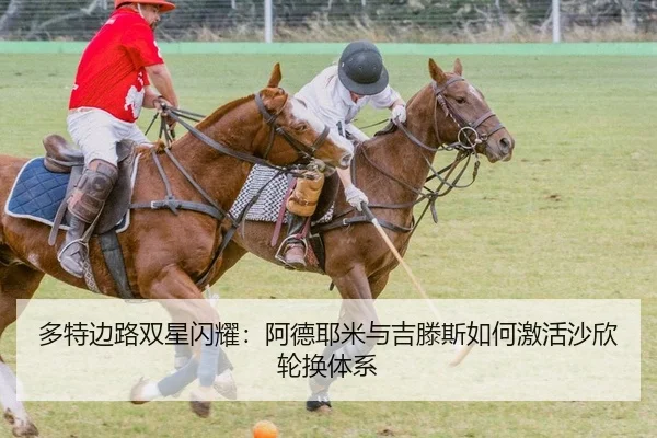 多特边路双星闪耀：阿德耶米与吉滕斯如何激活沙欣轮换体系