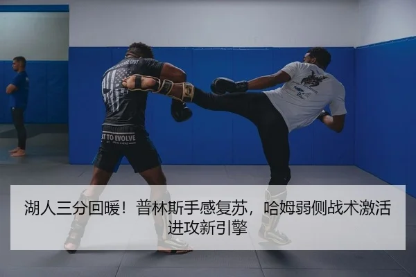 湖人三分回暖！普林斯手感复苏，哈姆弱侧战术激活进攻新引擎 | PG